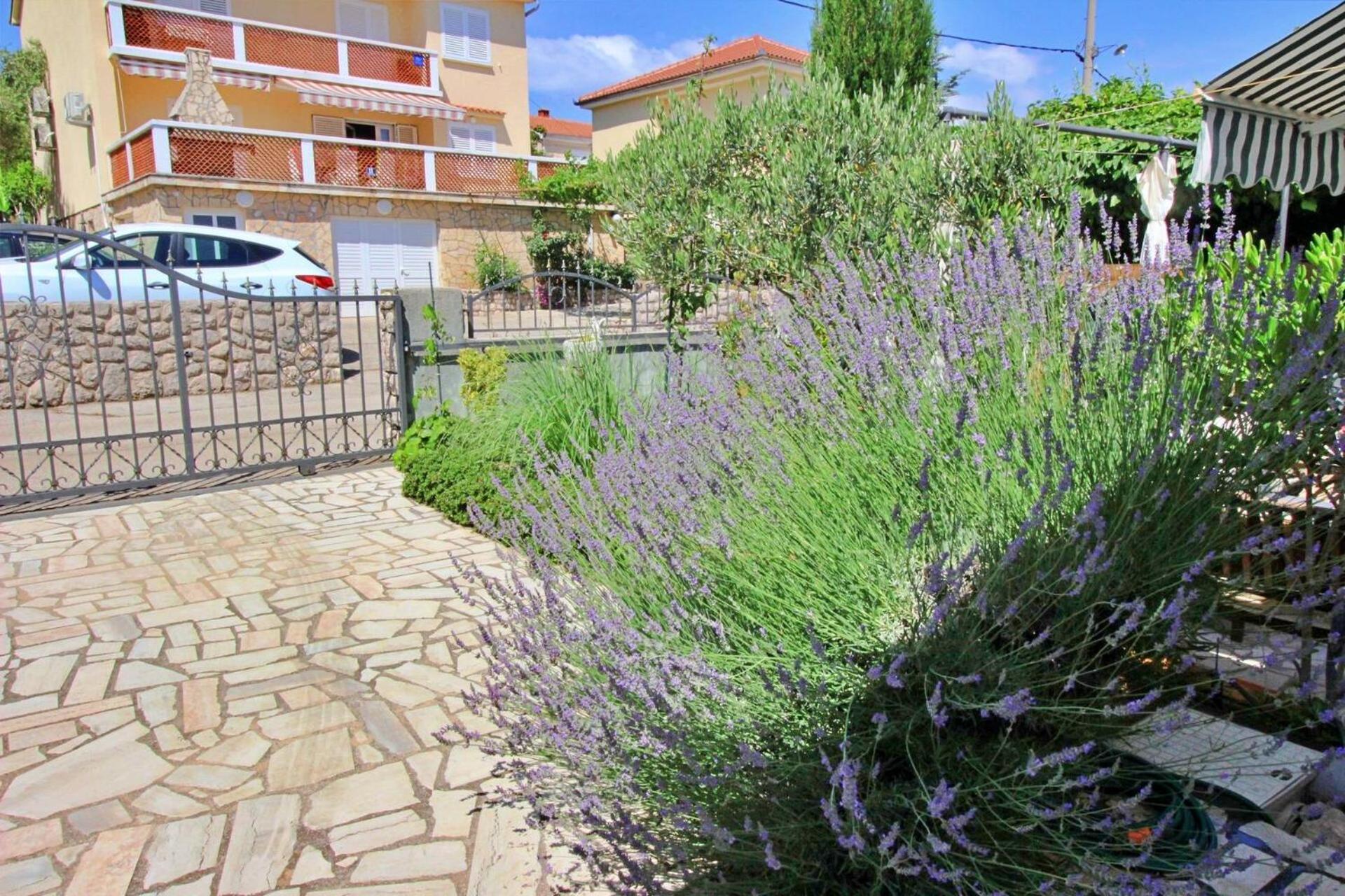 Apartment Renata Šilo Εξωτερικό φωτογραφία