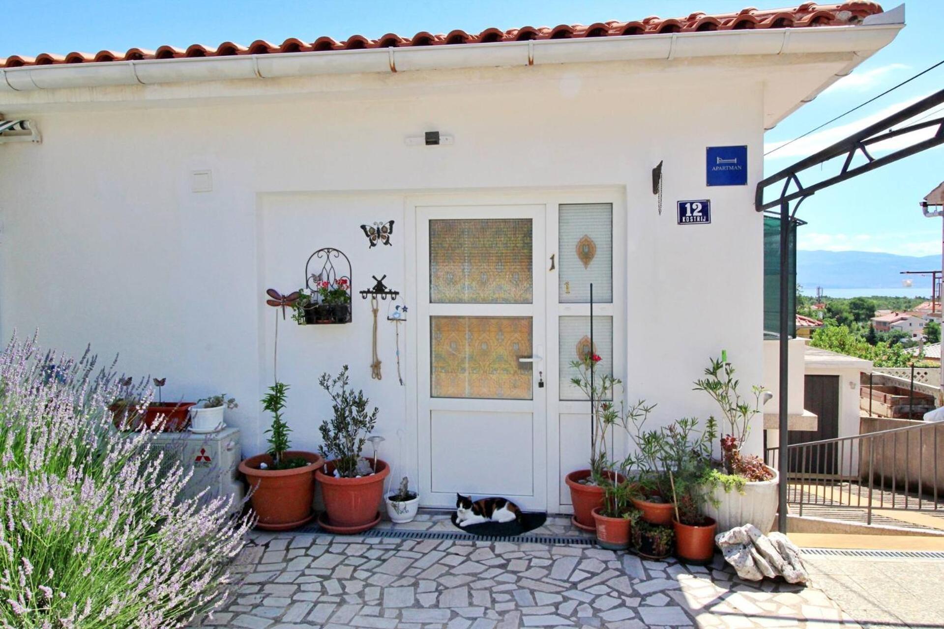 Apartment Renata Šilo Εξωτερικό φωτογραφία